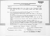 Tuburcinia hellebori-viridis image